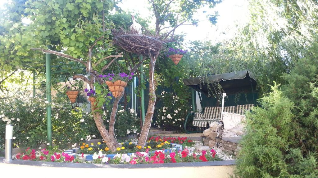 photo6