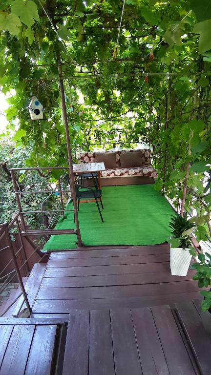 photo6