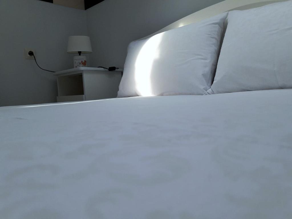 photo6