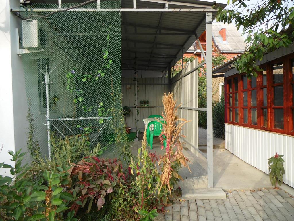 photo6