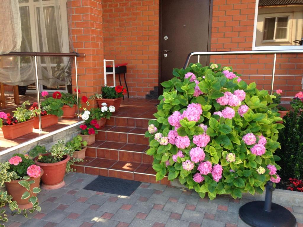 photo2