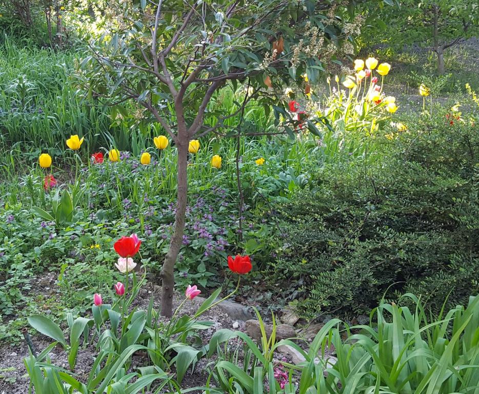 photo6