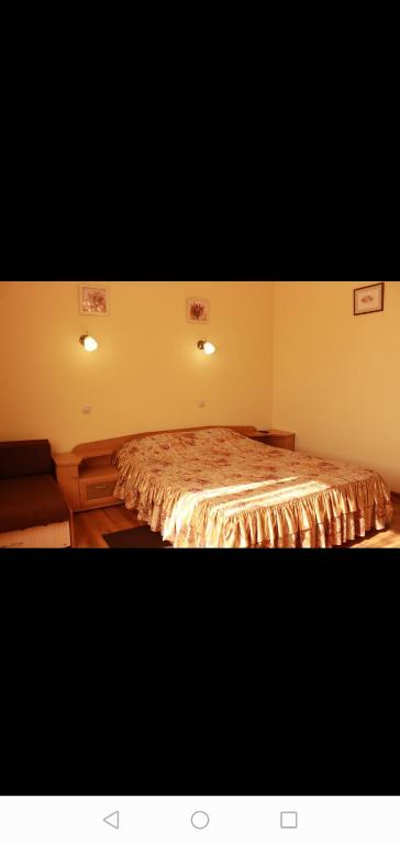 photo3