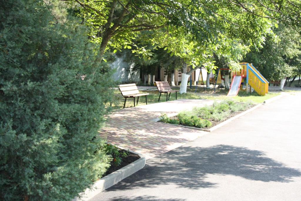 photo5