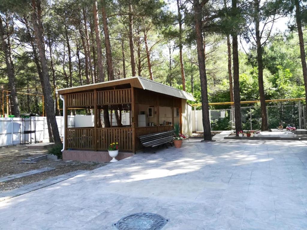 photo1