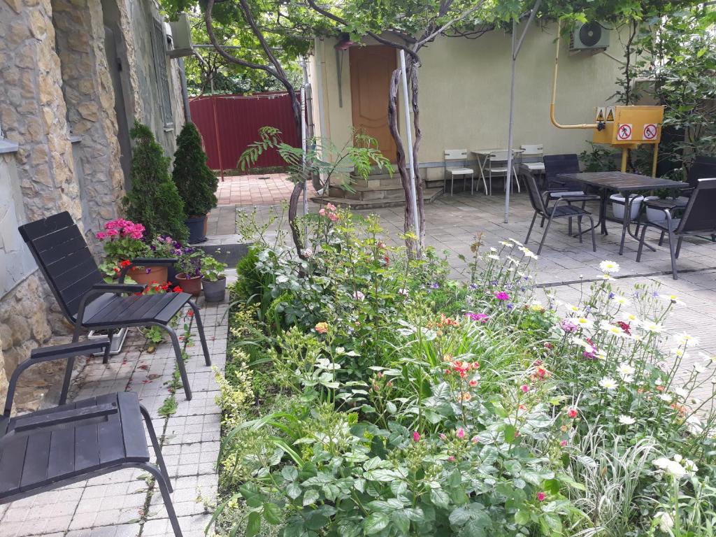 photo6