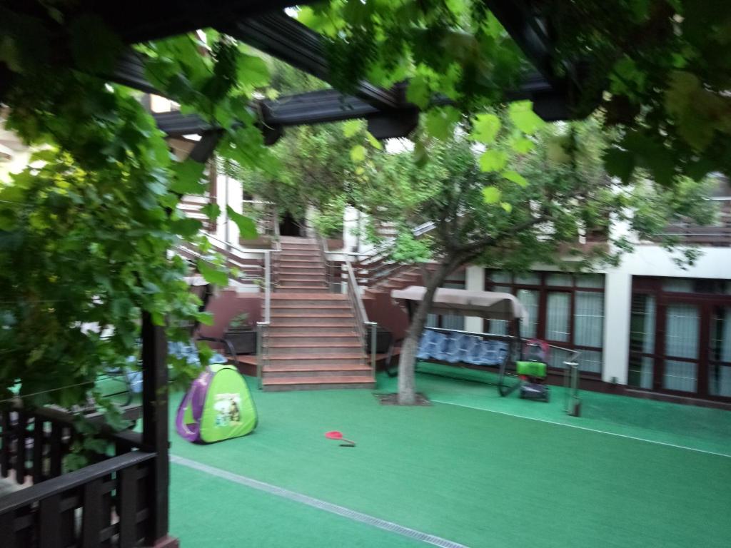 photo1