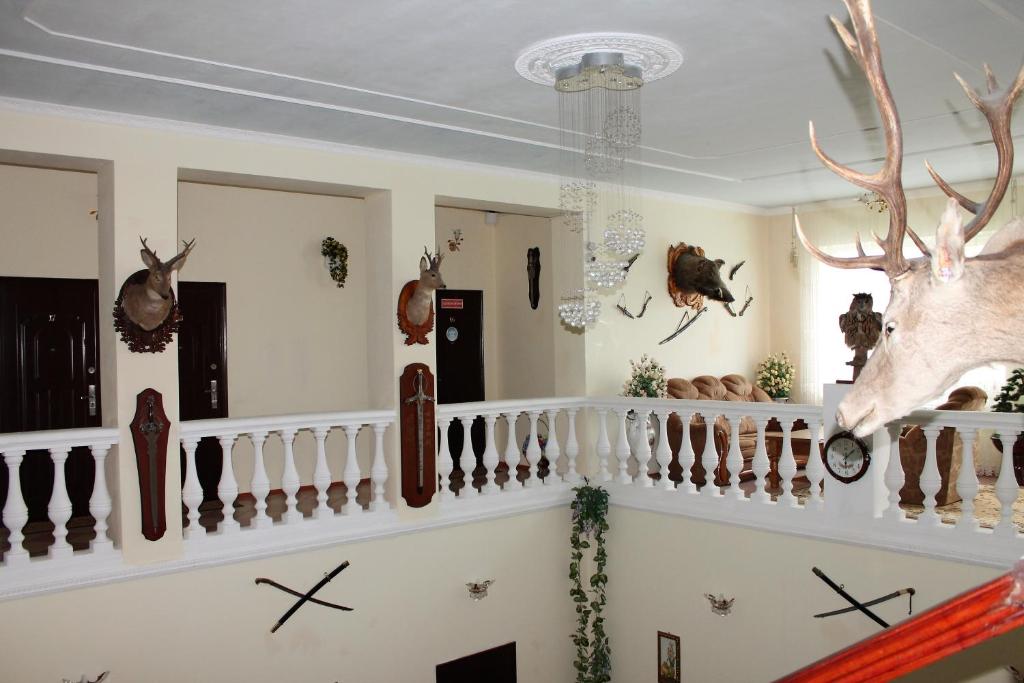 photo6