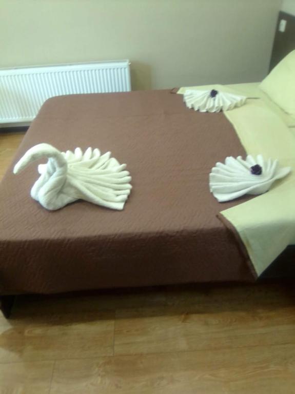 photo5