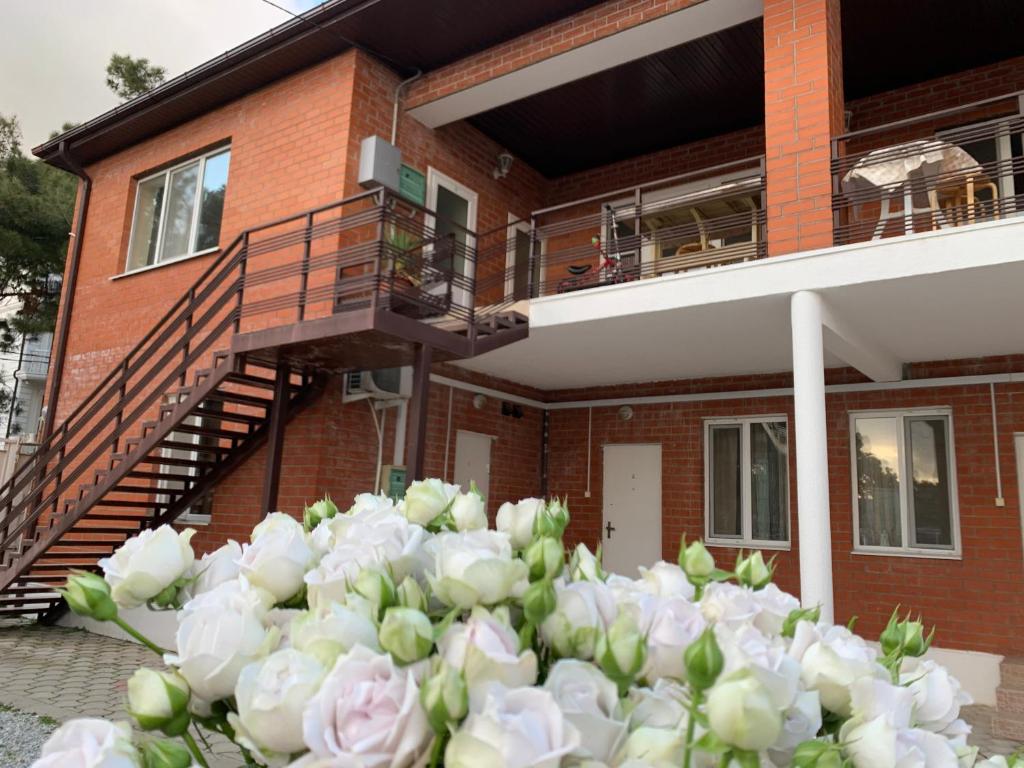 photo1