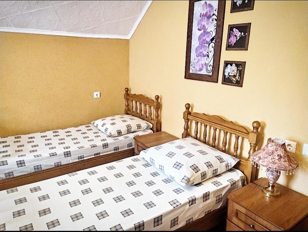 photo6