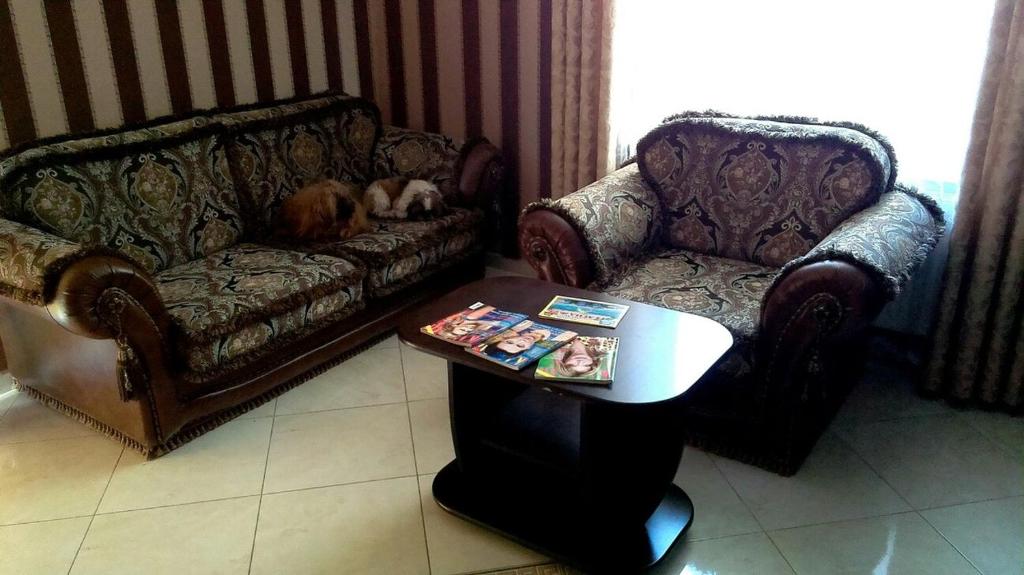photo6