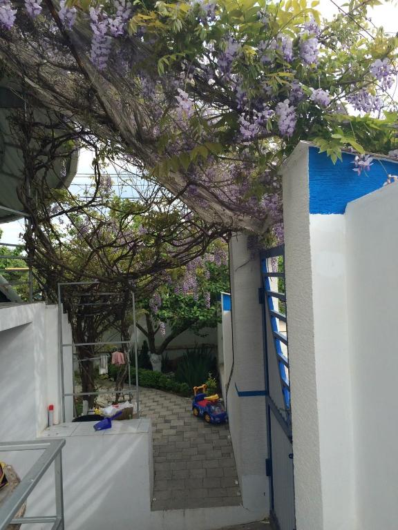 photo1