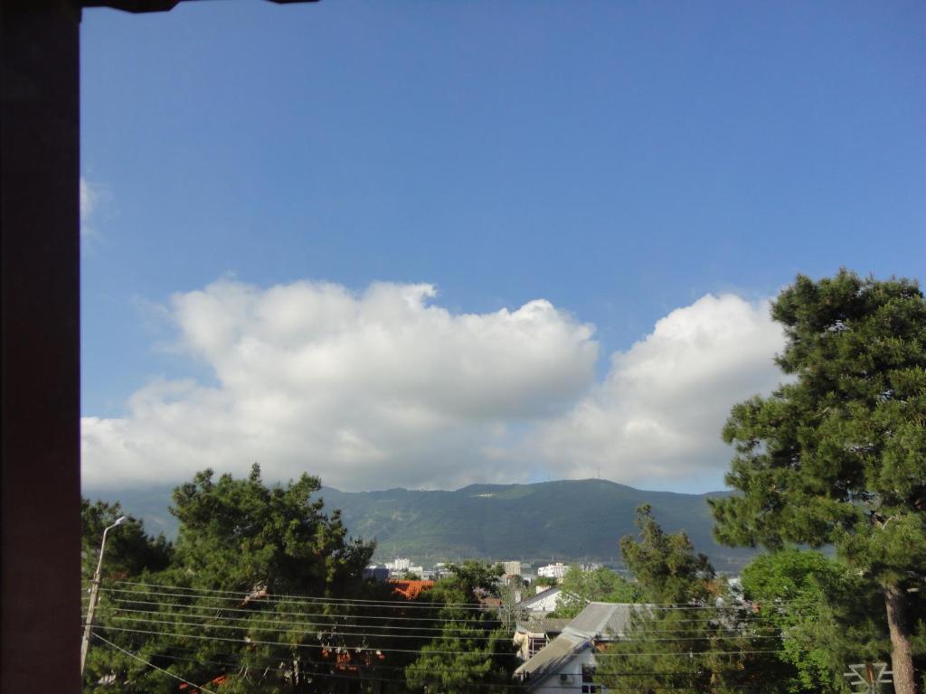 photo3