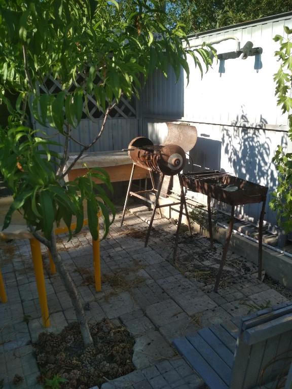 photo5