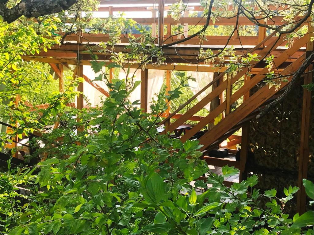 photo1