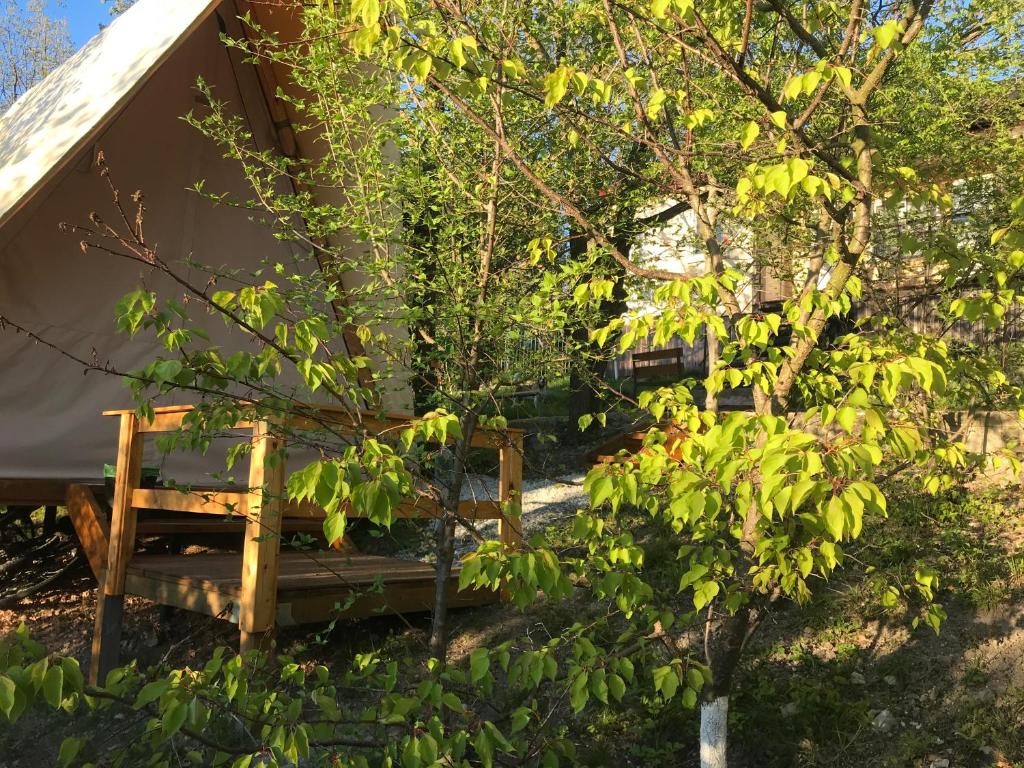 photo6