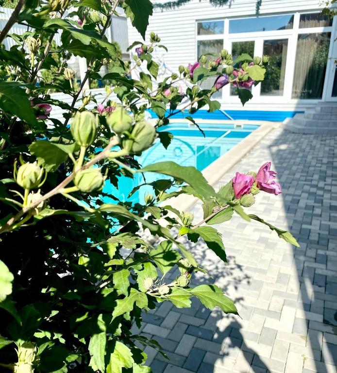 photo3
