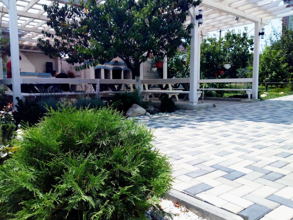 photo5