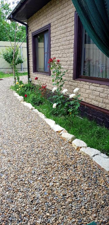 photo5