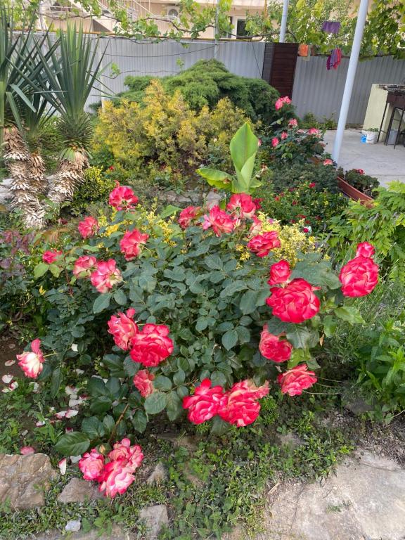 photo3