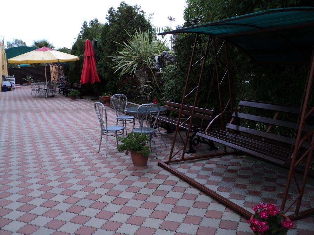 photo5