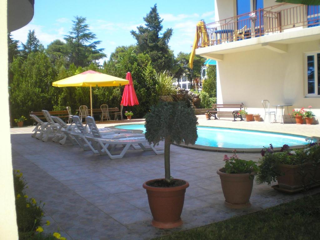 photo6