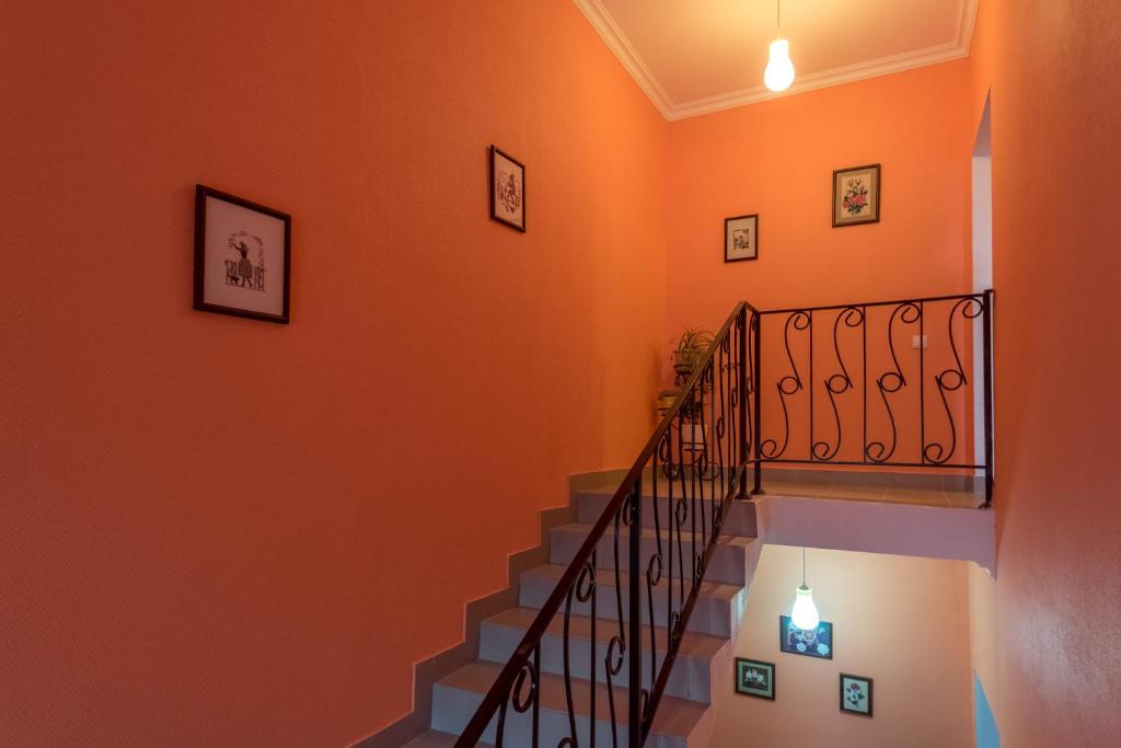 photo2