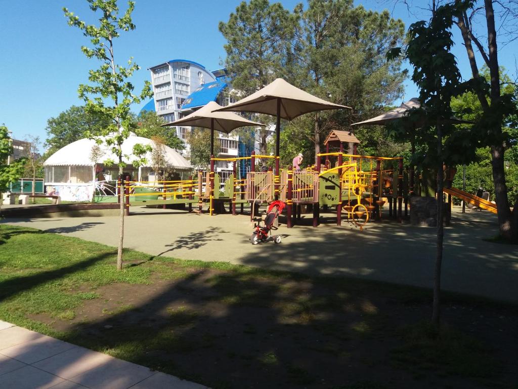 photo6