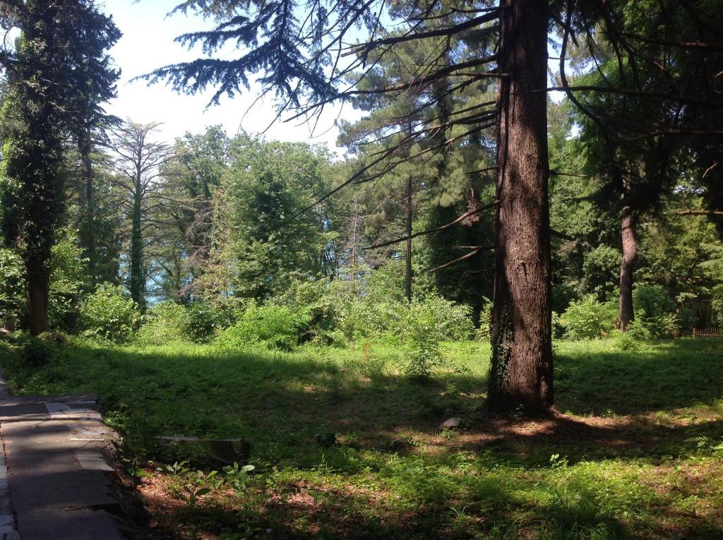 photo1