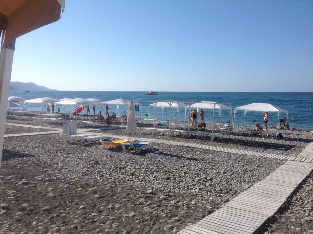 photo6