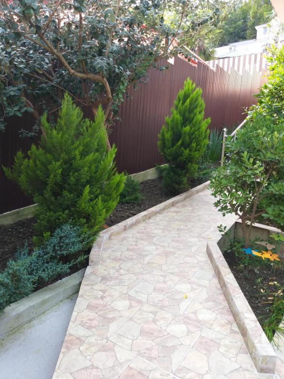 photo6