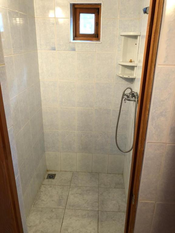 photo2