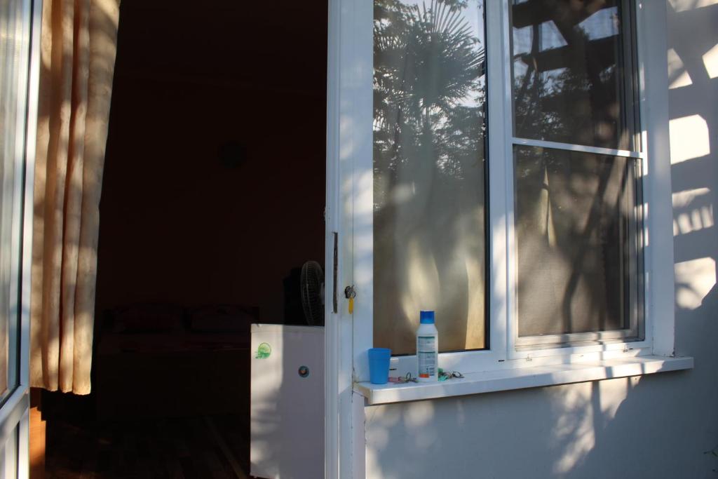photo2