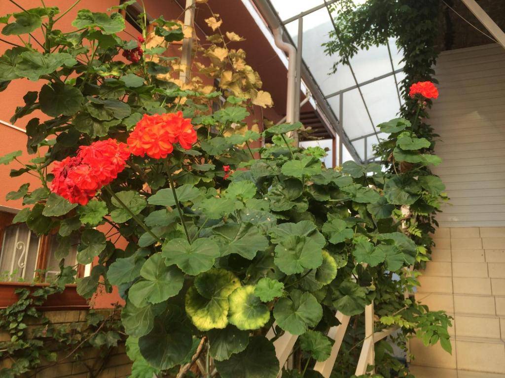 photo6