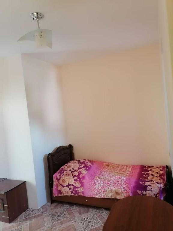 photo6