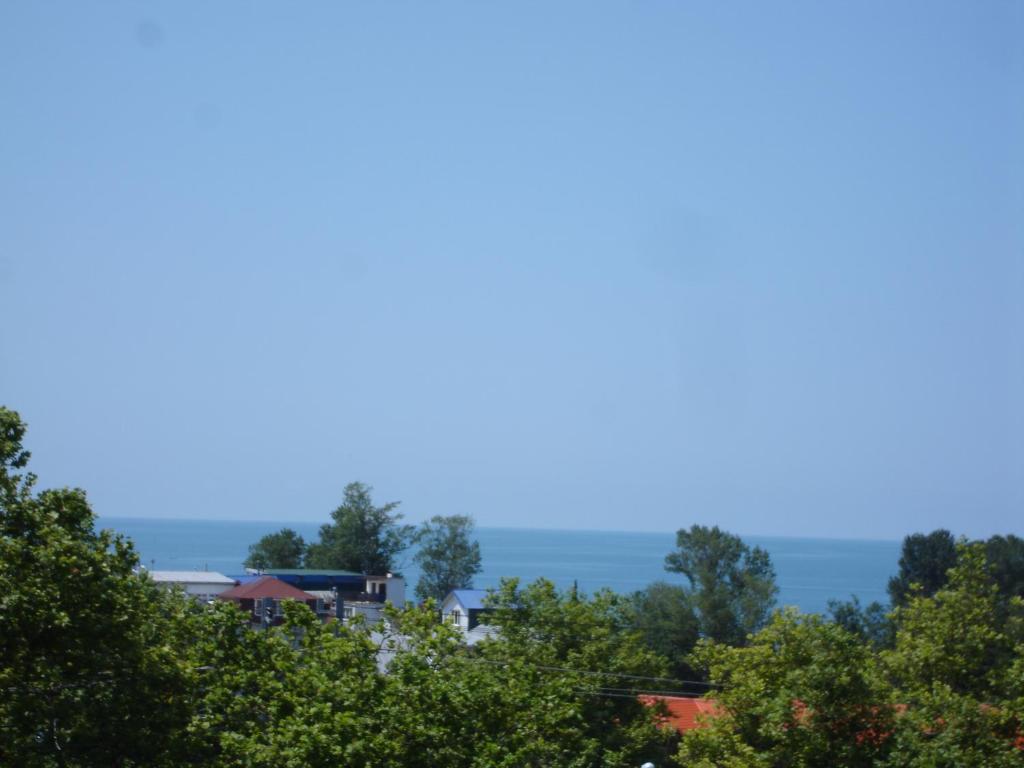 photo2