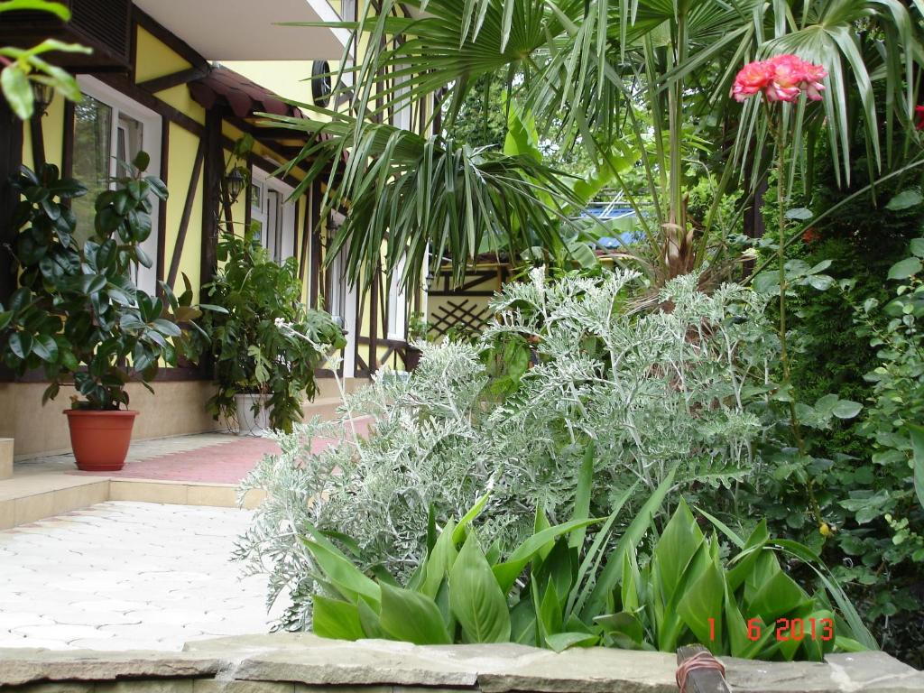 photo3