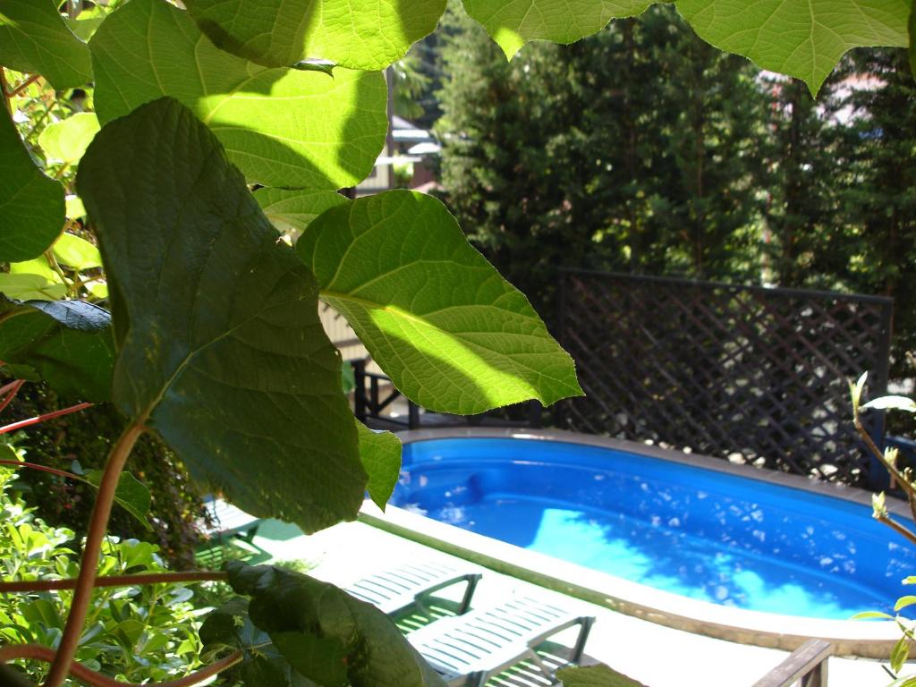 photo6