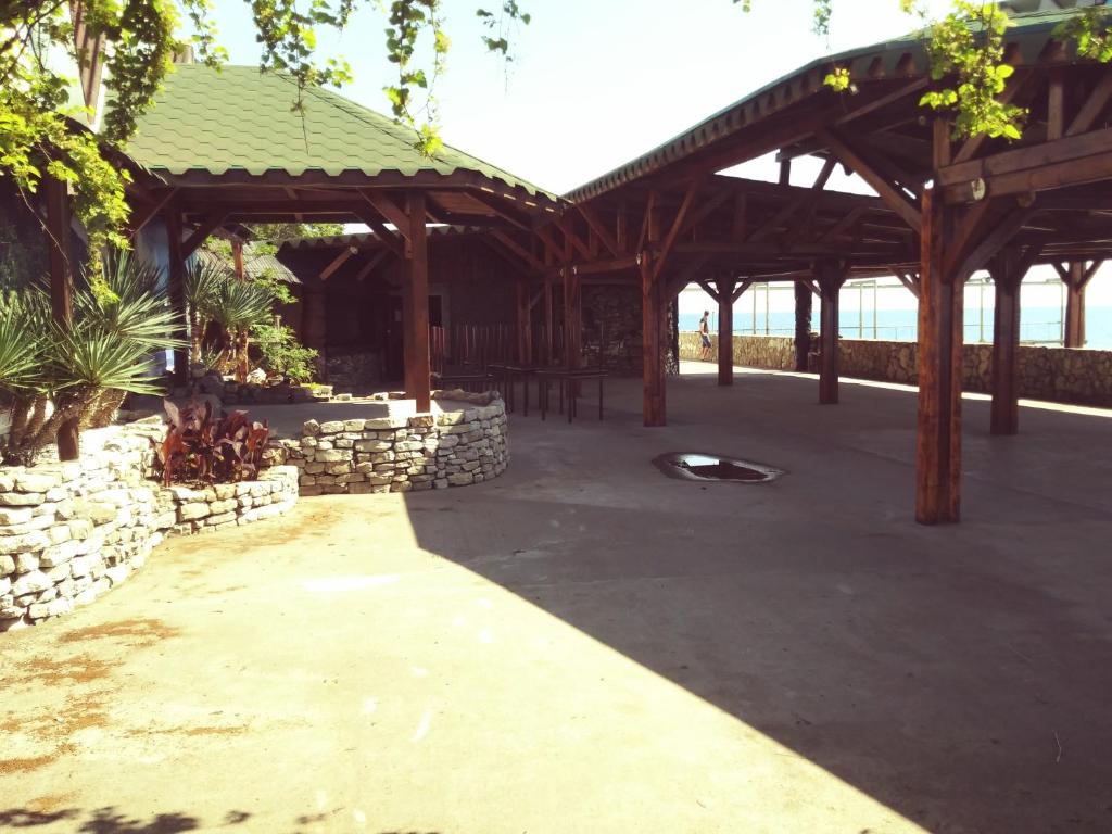 photo6