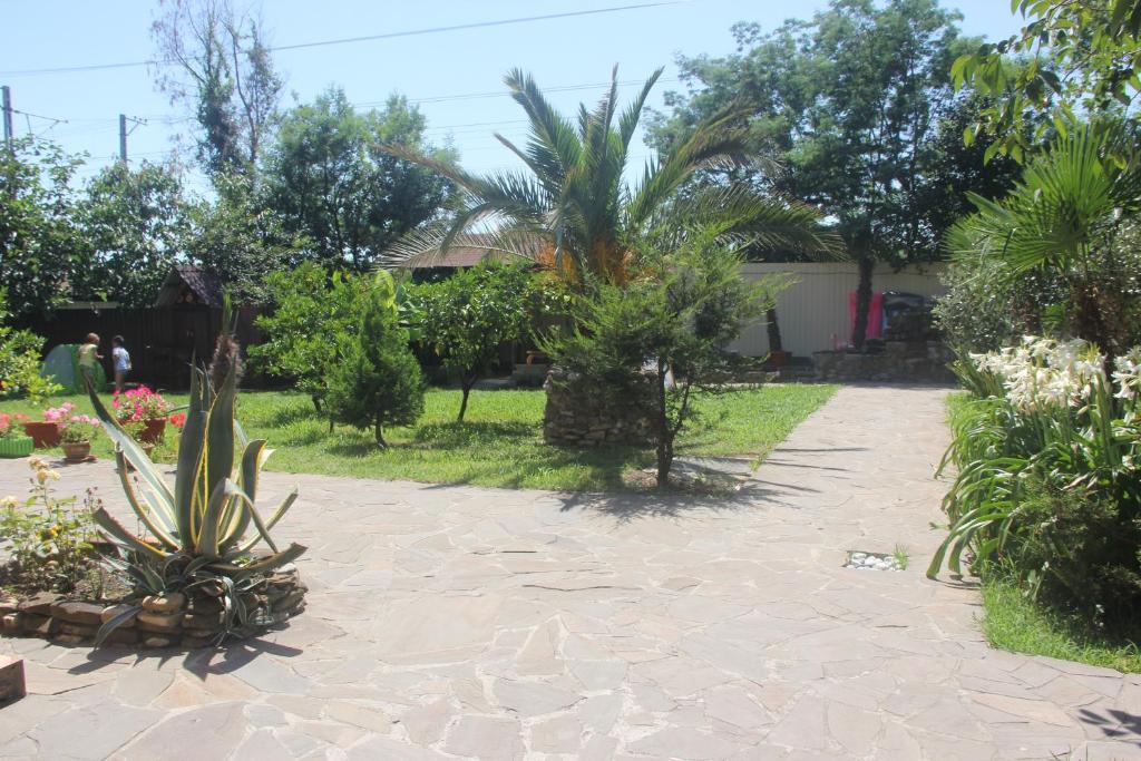 photo6