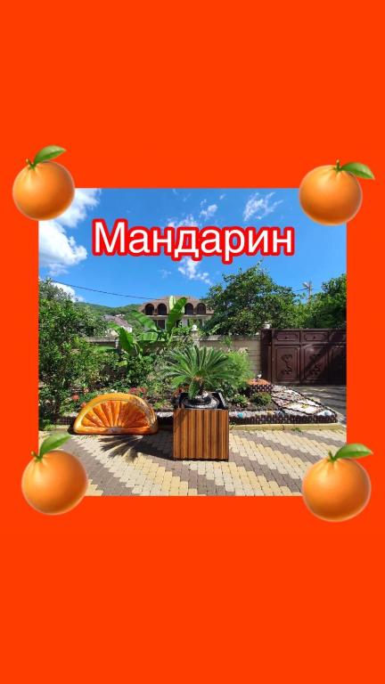photo6