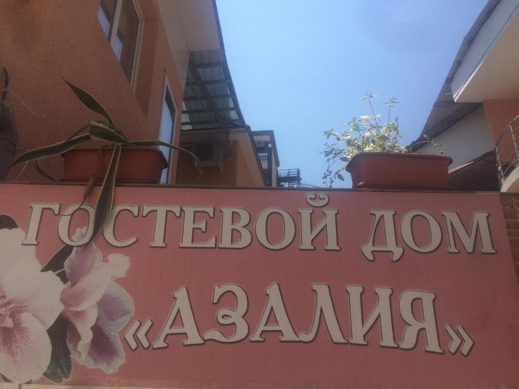 photo5