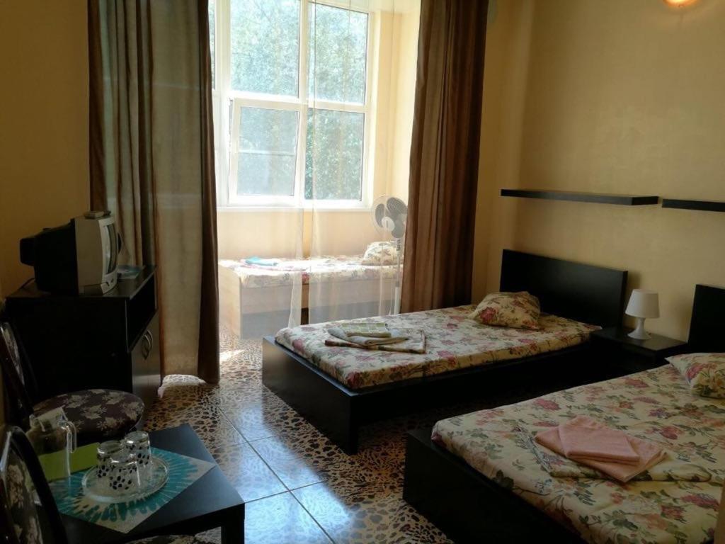 photo3