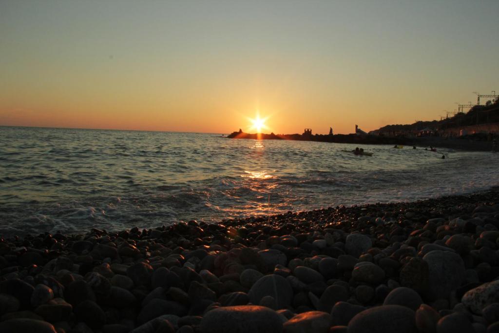 photo6