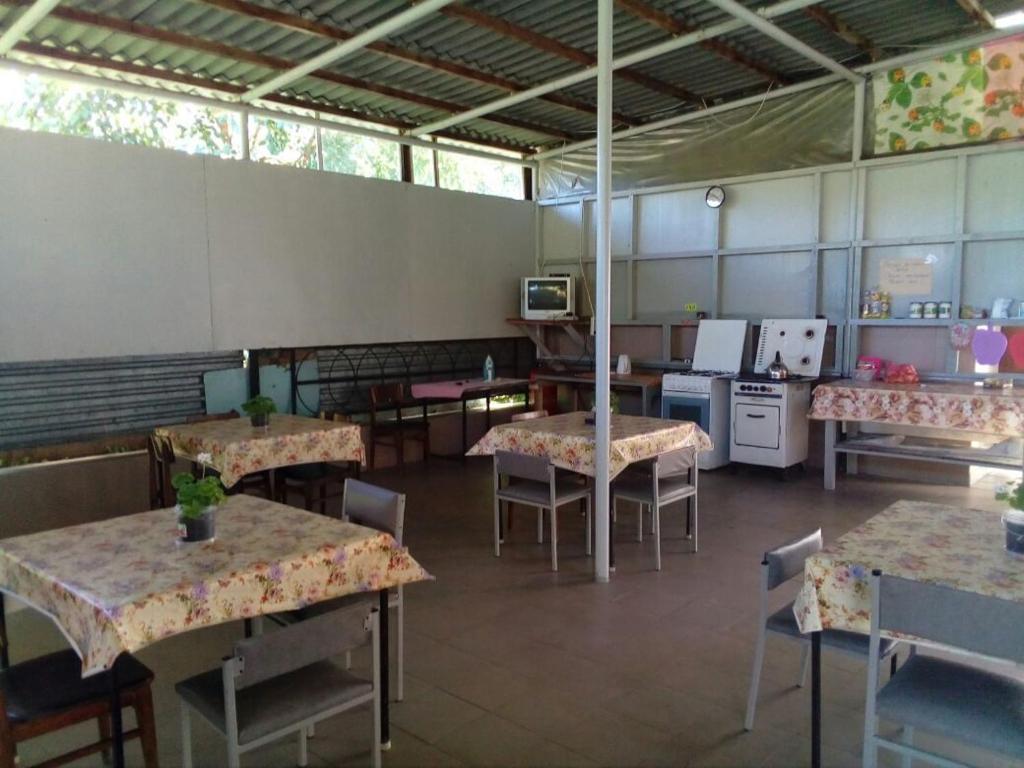 photo6