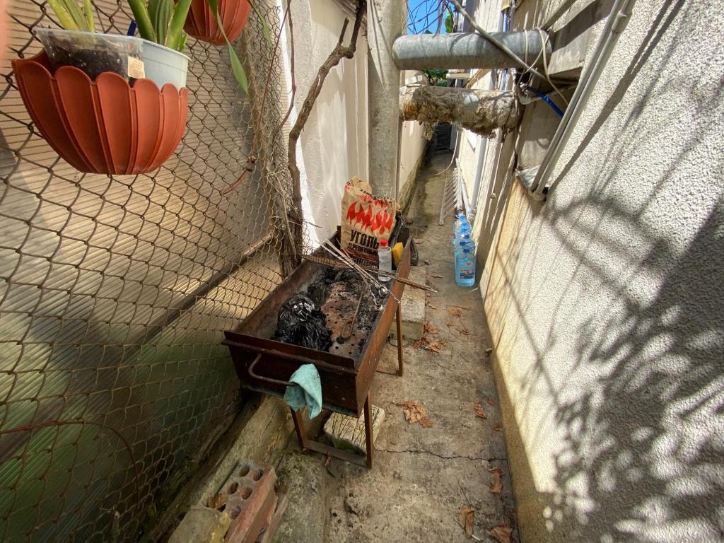 photo1