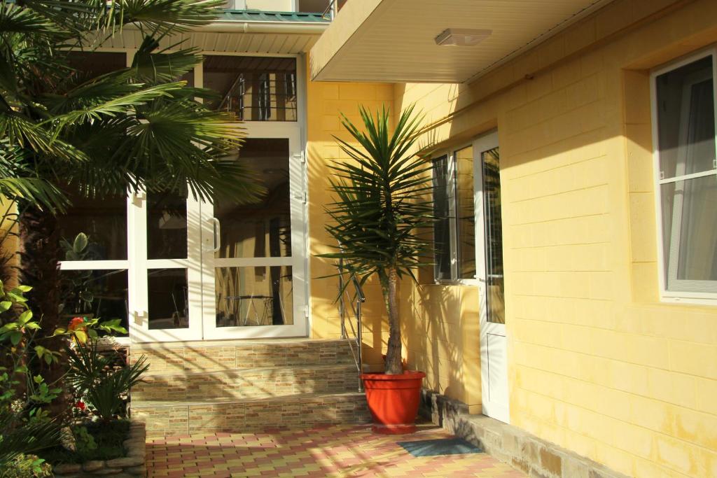 photo6