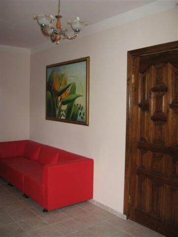 photo6