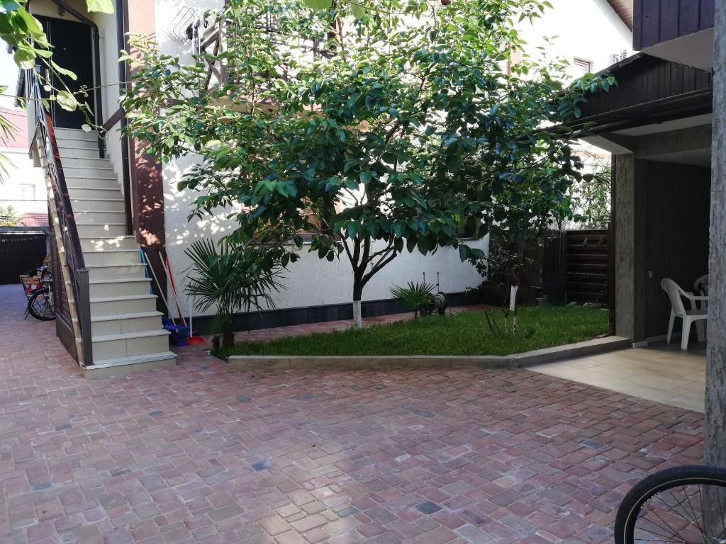 photo1